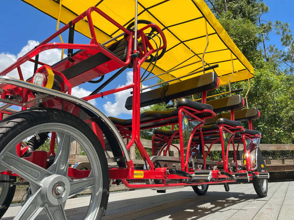 Buena Vista Surrey Company